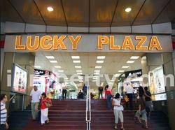 Lucky Plaza (D9), Retail #83862292